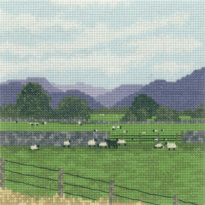 Cumbrian Sheep