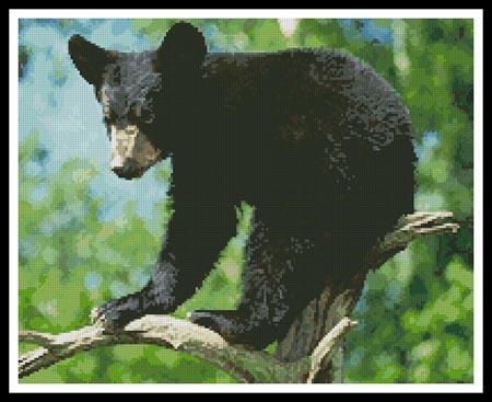 click here to view larger image of Black Bear Cub (chart)