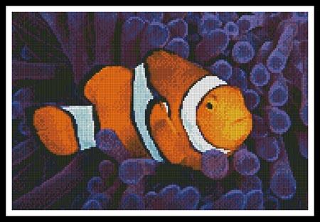 click here to view larger image of Clownfish in Anemone (chart)