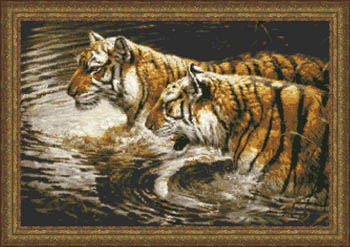 Wading Tigers
