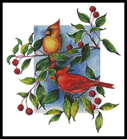 Colourful Cardinals  (Janet Mandel)