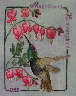 Magnificent Hummingbird 2012