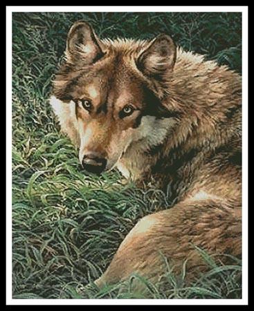 Wolf Painting  (Joni Johnson Godsy)