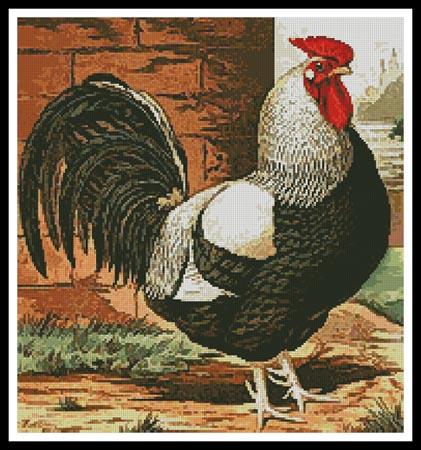 click here to view larger image of Rooster 1 (chart)
