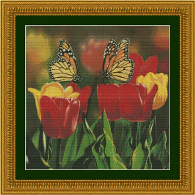 Tulips & Monarch