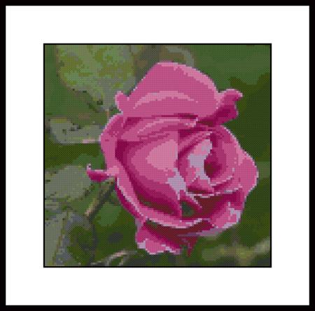 click here to view larger image of Baby Rose in Bloom (chart)