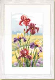 click here to view larger image of Irises at Dawn - 27ct (counted cross stitch kit)