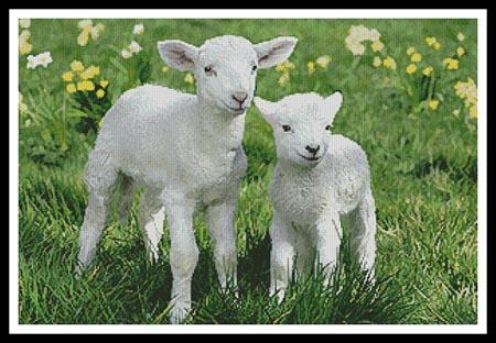 click here to view larger image of Easter Lambs (chart)