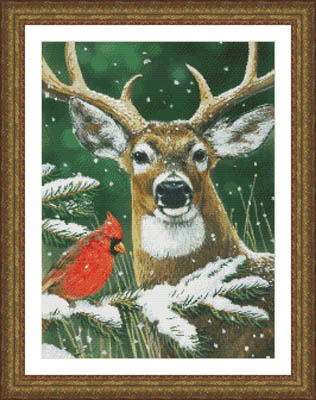 Deer and Cardinal