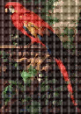 Scarlet Macaw in a Landscape (mini chart)