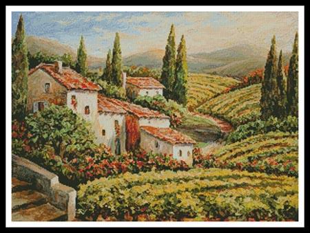 Provence Vineyard  (Daniella Foletto)