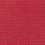 Perforated Paper - Winterberry