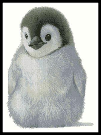click here to view larger image of Penguin Chick  (John Butler) (chart)
