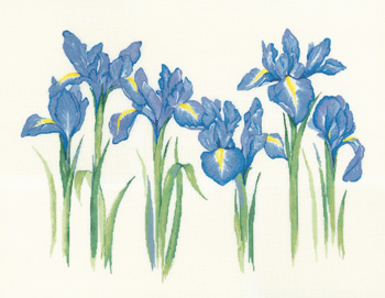 click here to view larger image of Irises (counted cross stitch kit)