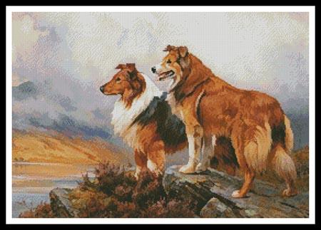 Two Collies Above A Lake  (Wright Barker)