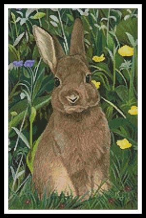 click here to view larger image of Rabbit Painting  (Karie-Ann Cooper) (chart)