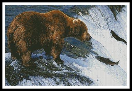 Grizzly Bear Salmon Fishing