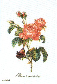 click here to view larger image of Roses - Linen (counted cross stitch kit)