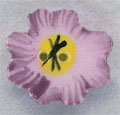 Pansy (ceramic button)