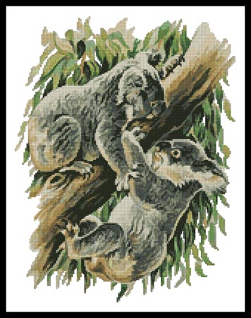 click here to view larger image of Koala Argument  (Gerry Forster) (chart)