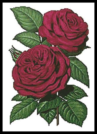 click here to view larger image of Pink Roses 5  (William Paul) (chart)