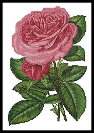 click here to view larger image of Pink Roses Print (chart)