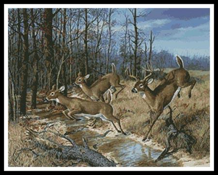 Deer Crossing  (Randy McGovern)