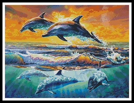 Dolphins at Dawn  (Adrian Chesterman)