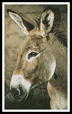 click here to view larger image of Donkey (chart)