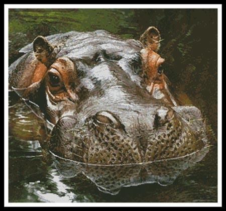 click here to view larger image of Hippo Reflection  (Timothy Lubcke) (chart)