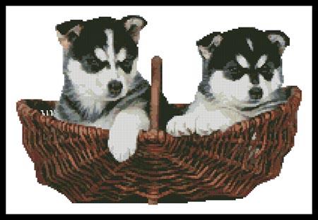 click here to view larger image of Husky Puppies (chart)