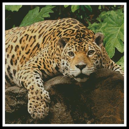 click here to view larger image of Jaguar (chart)