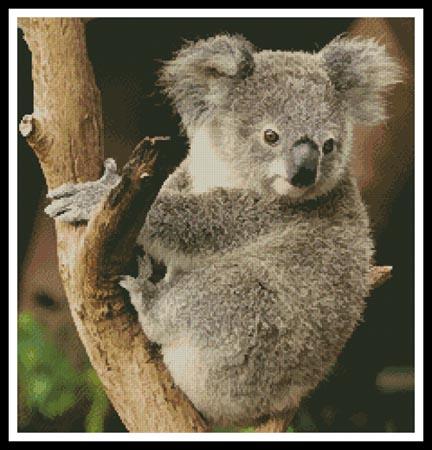 click here to view larger image of Koala on a Branch (chart)