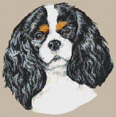 click here to view larger image of Tricolor Cavalier King Charles Spaniel (chart)