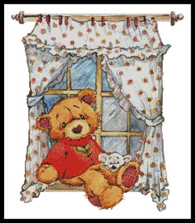 Teddy At Window