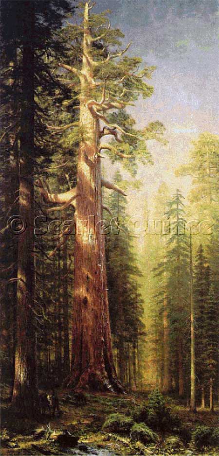 Great Trees, The - Mariposa Grove, California - Albert Bierstadt