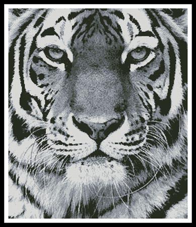 Tiger Portrait (Black and White)