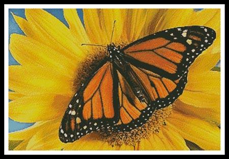 Monarch Sunflower (Wave-Corbis)