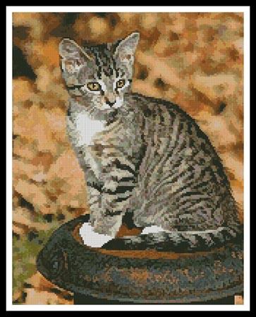 click here to view larger image of Autumn Kitten (chart)