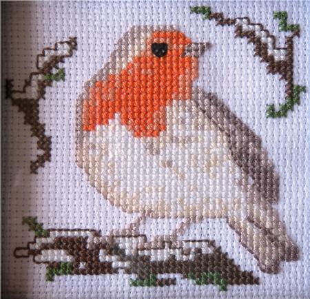 Birds Series - Robin