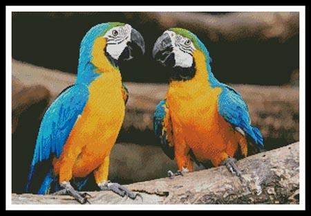 click here to view larger image of Blue and Yellow Macaws (chart)