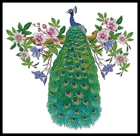 Peacock with Passionflower