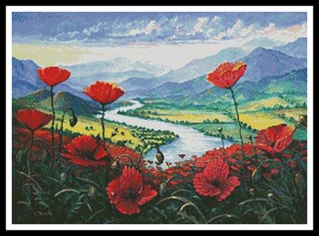 Red Poppies in the River Valley