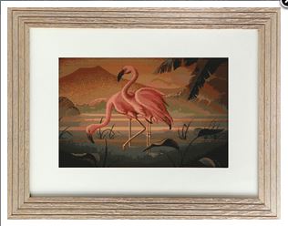 Couple of Flamingos