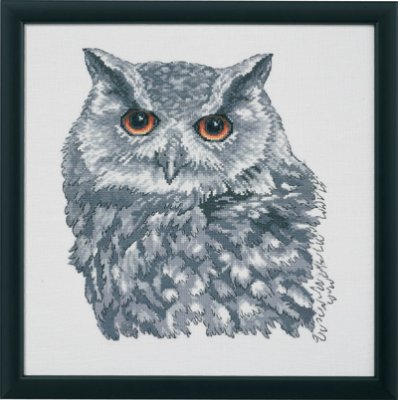 Owl in Gray (aida)