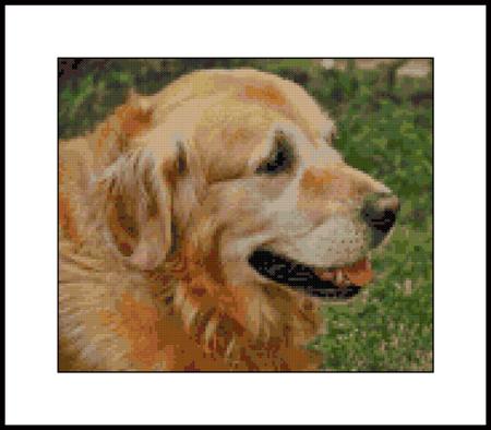 click here to view larger image of Yellow Lab (chart)