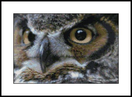 click here to view larger image of Great Horn Owl (chart)