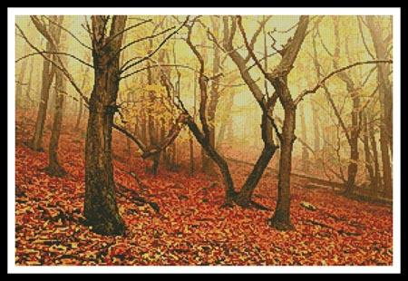 Morning Fog in the Palatinate Forest  (Jochen Schlenker)