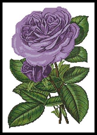 click here to view larger image of Lavender Roses Print (chart)