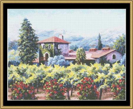 Vineyard Collection - Saturi Winery - Barbara Felisky